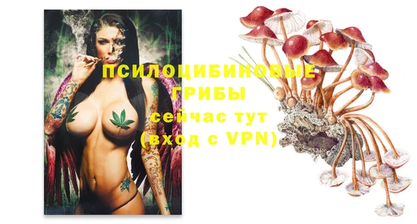 мескалин Богданович