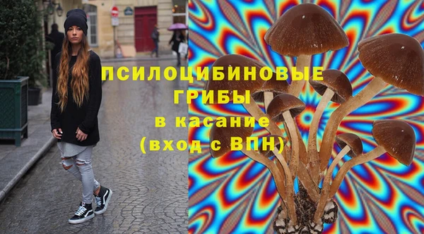 ГАЛЛЮЦИНОГЕННЫЕ ГРИБЫ Богородск